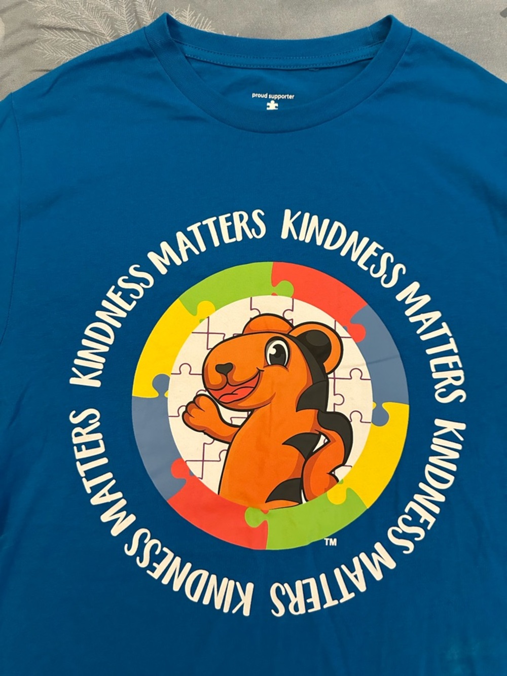 EUC Autism Speaks Kindness Matters Puzzle Bear Graphic Tee - Teal Sz S